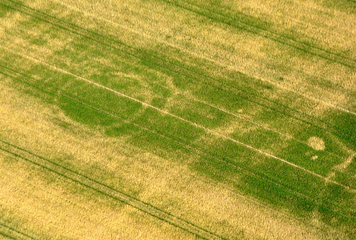 a crop field with lines in it