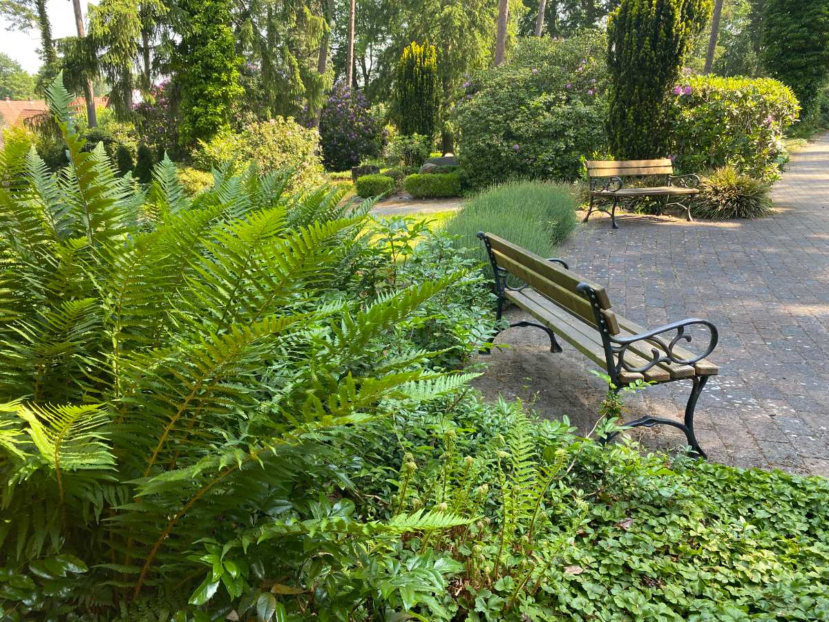 a bench in a park