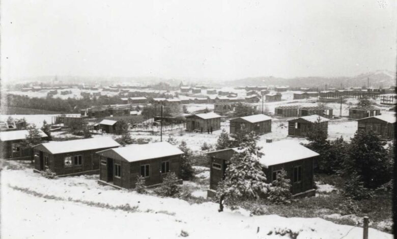 a group of houses in a snowy area