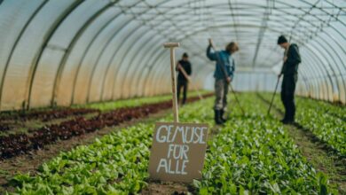 a group of people working in a greenhouse