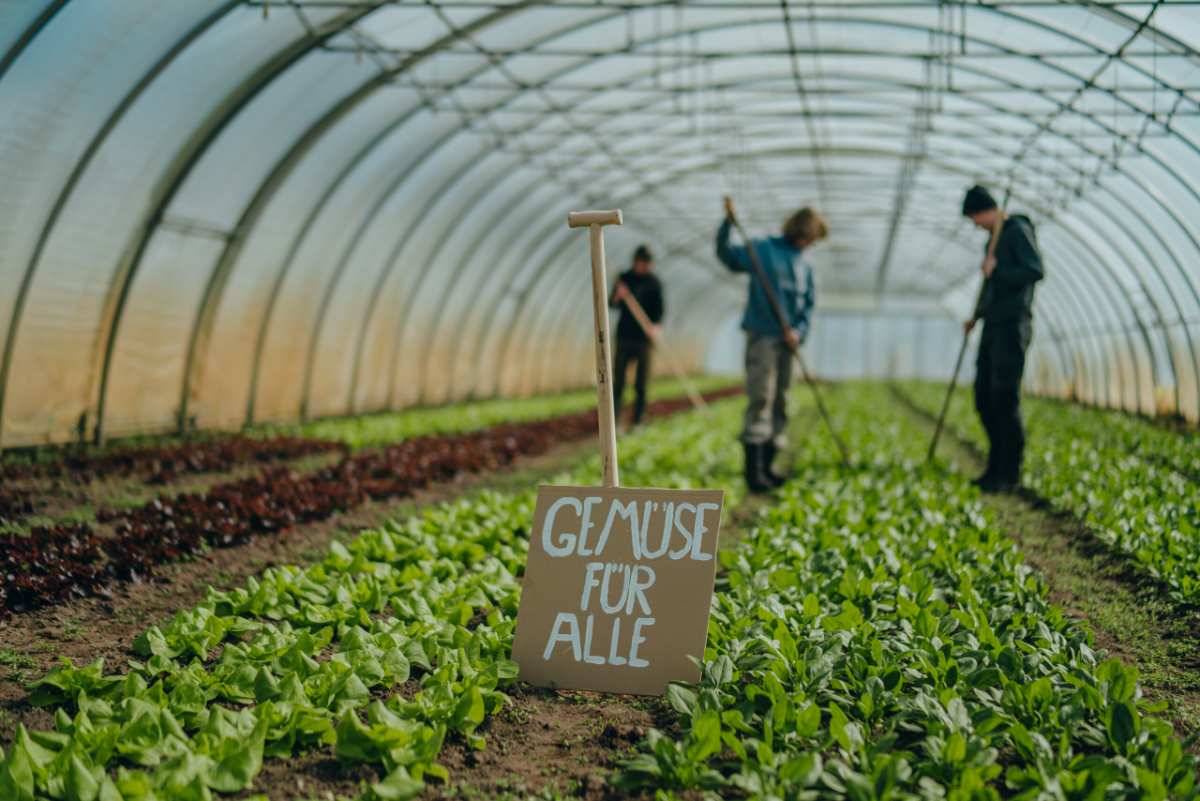 a group of people working in a greenhouse