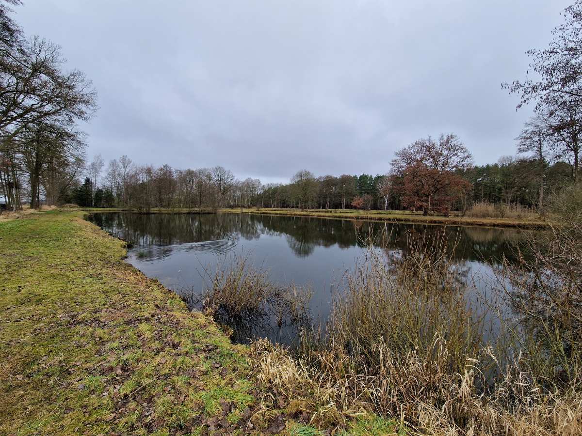 a body of water with grass and trees