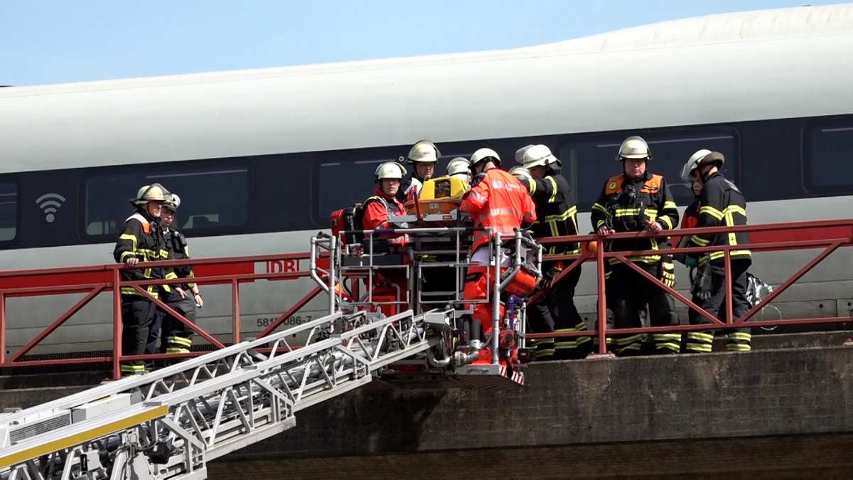 a group of firefighters on a ladder