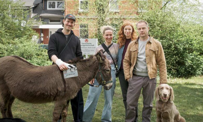 a group of people standing next to a donkey