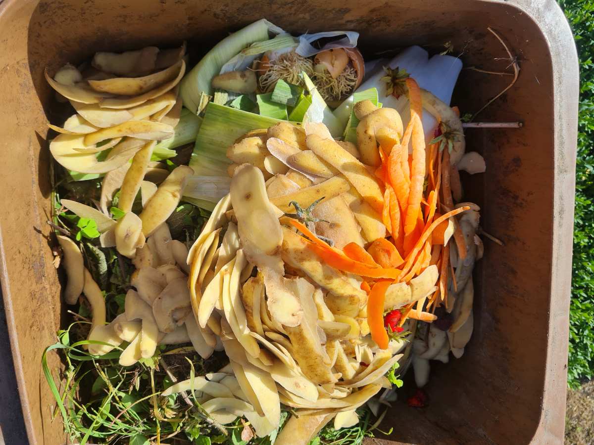 a pile of vegetables in a bin