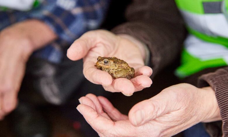 a person holding a small frog