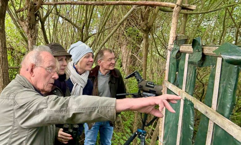 a group of people standing in a forest