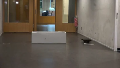 a white box on the floor