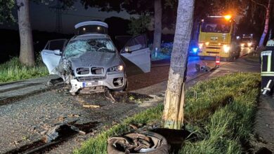 a car crashed into a road with a firetruck and a tree