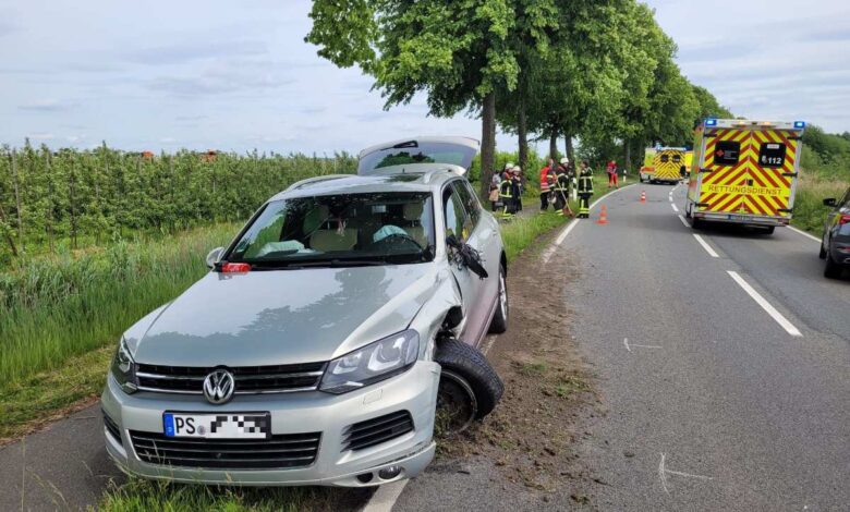 a car crashed into a tree
