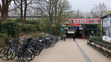 a group of bicycles parked in a row