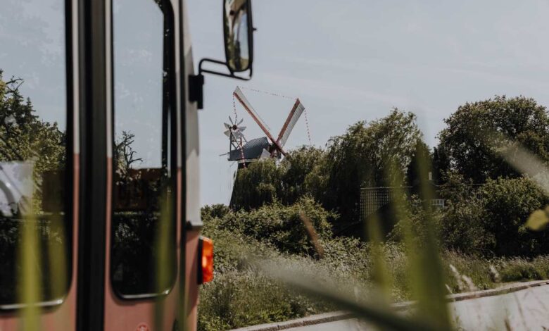 a windmill in the trees