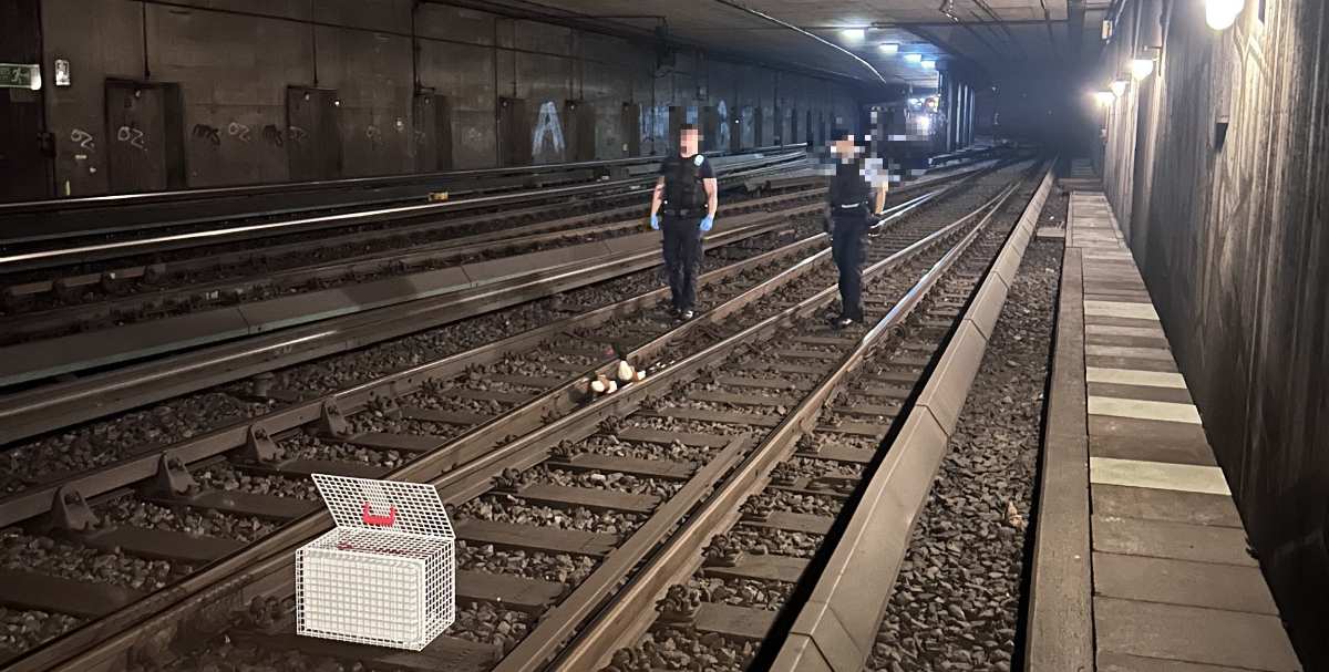 two men walking on train tracks