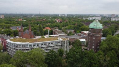 a city with trees and buildings