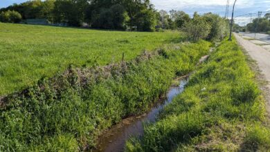 a stream running through a grassy field