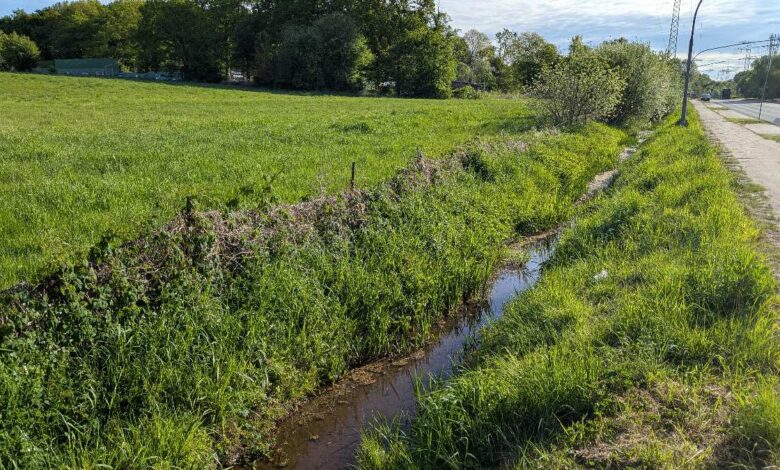Schwammstadt trifft Hittfeld: Neue Wege für Klimaresilienz am Göhlenbach 10 a stream running through a grassy field