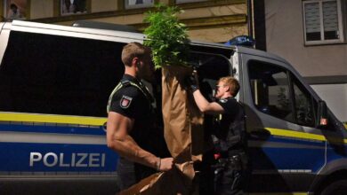two men holding a bag of plants