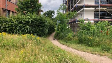 a dirt path between buildings