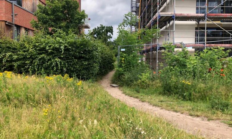 a dirt path between buildings