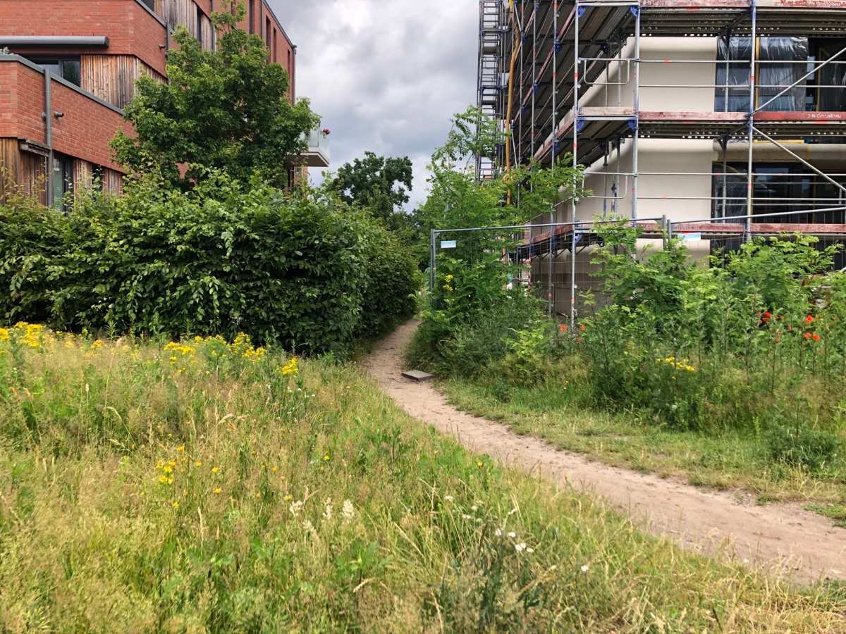 Trampelpfad am Baumpieperweg soll offizieller Fußweg werden 1 a dirt path between buildings