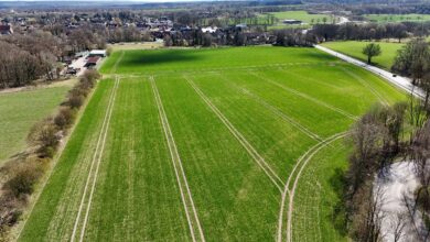 a large green field with tracks in it
