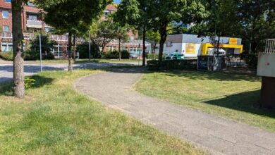 a path in a park with trees and buildings in the background