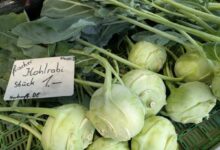 a pile of kohlrabi