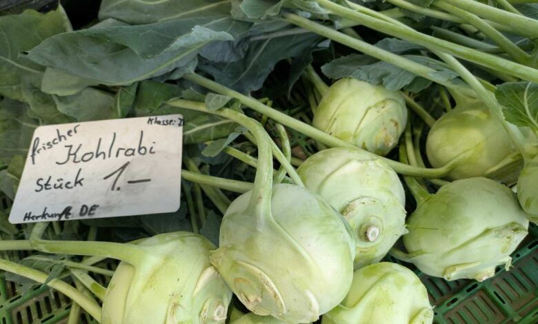 a pile of kohlrabi