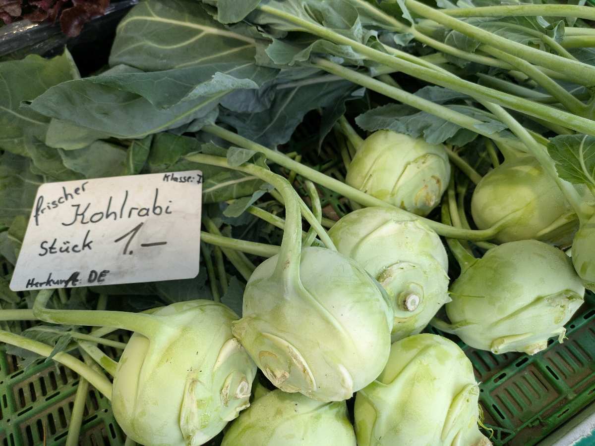 a pile of kohlrabi