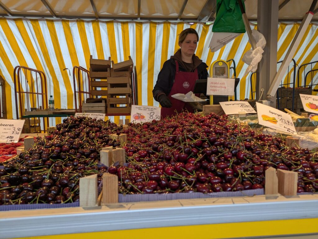 Süßer Start: Kirschen aus dem Alten Land jetzt auf dem Wochenmarkt erhältlich