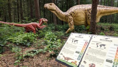 a group of dinosaurs in a forest