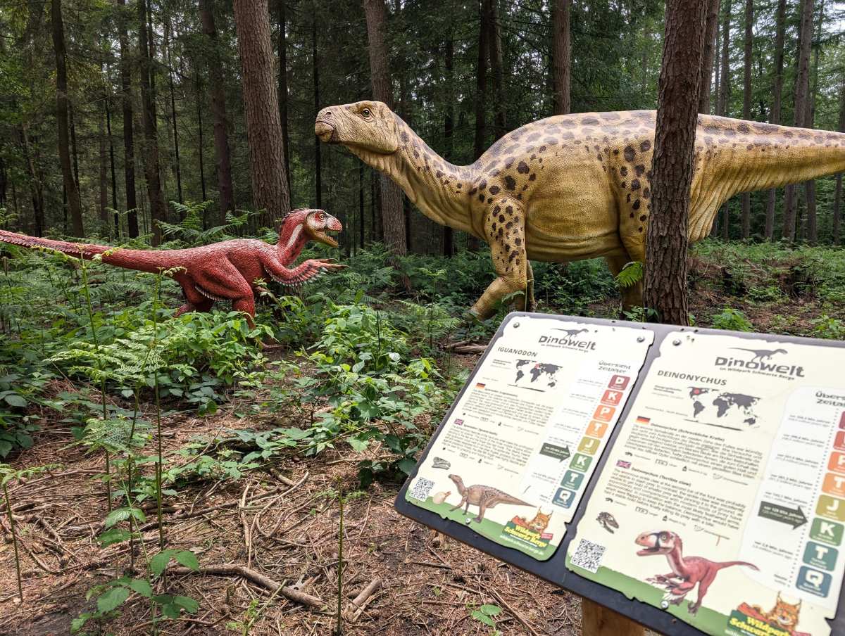 Dinotour mit Birk Grüling: Mitmach-Lesung für Kinder im Wildpark 1 a group of dinosaurs in a forest