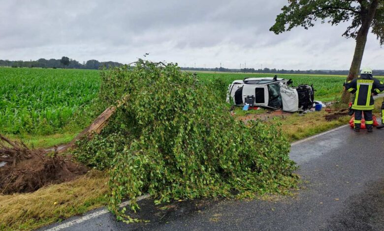 a tree next to a car