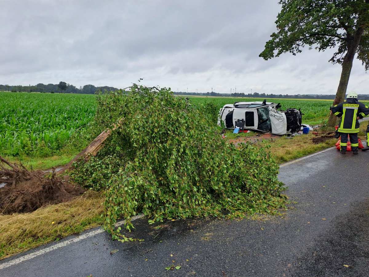 BMW überschlägt sich nach Überholmanöver auf regennasser Fahrbahn 1 a tree next to a car