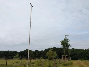 Greifvogel Hellberg