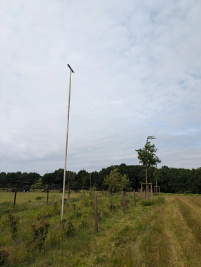 Neue Greifvogelansitze am Hellberg 1 Greifvogel Hellberg
