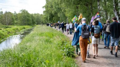 a group of people walking along a path