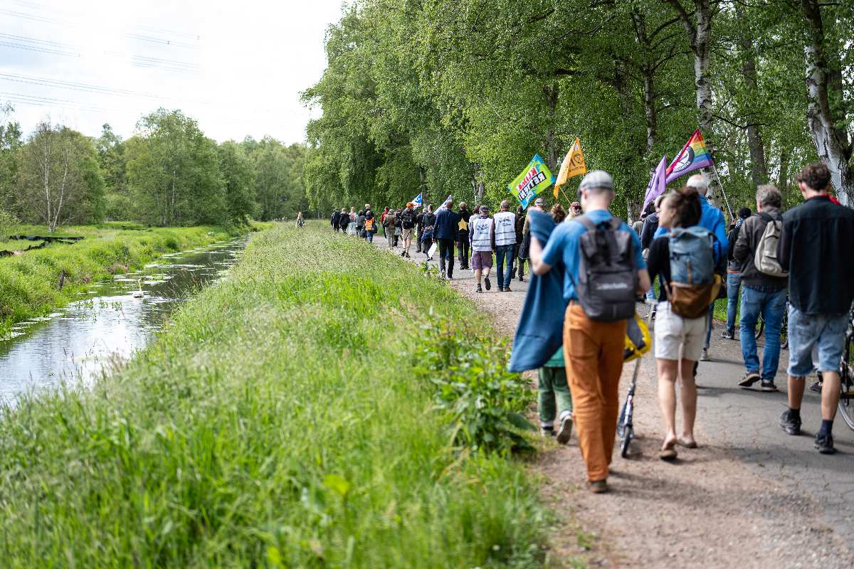 Wilde Tiere im Moor: BUND lädt zum MoorWalk nach Moorburg ein 1 a group of people walking along a path