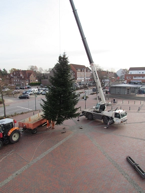 Weihnachtsbaum Rathausplatz gesucht