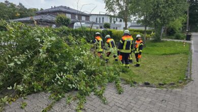 a group of firefighters in uniform