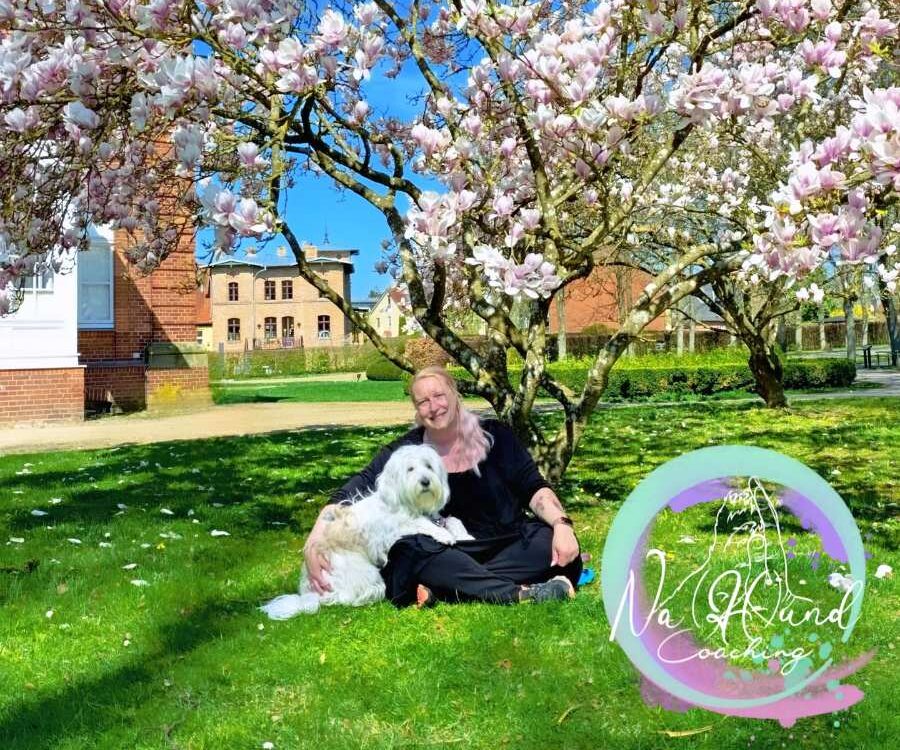 a woman sitting on a bench with a dog under a tree