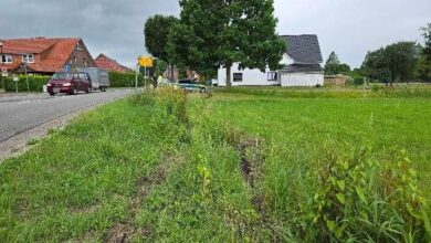 a grass field with a house and trees