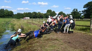 a group of people in firemen on a horse pulling a horse