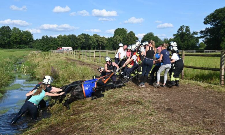 a group of people in firemen on a horse pulling a horse