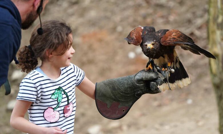 a girl holding a bird on a gloved hand