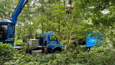 a blue truck in the woods