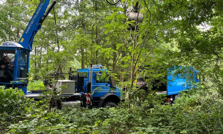 a blue truck in the woods