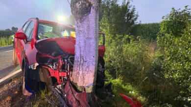 a car crashed into a tree