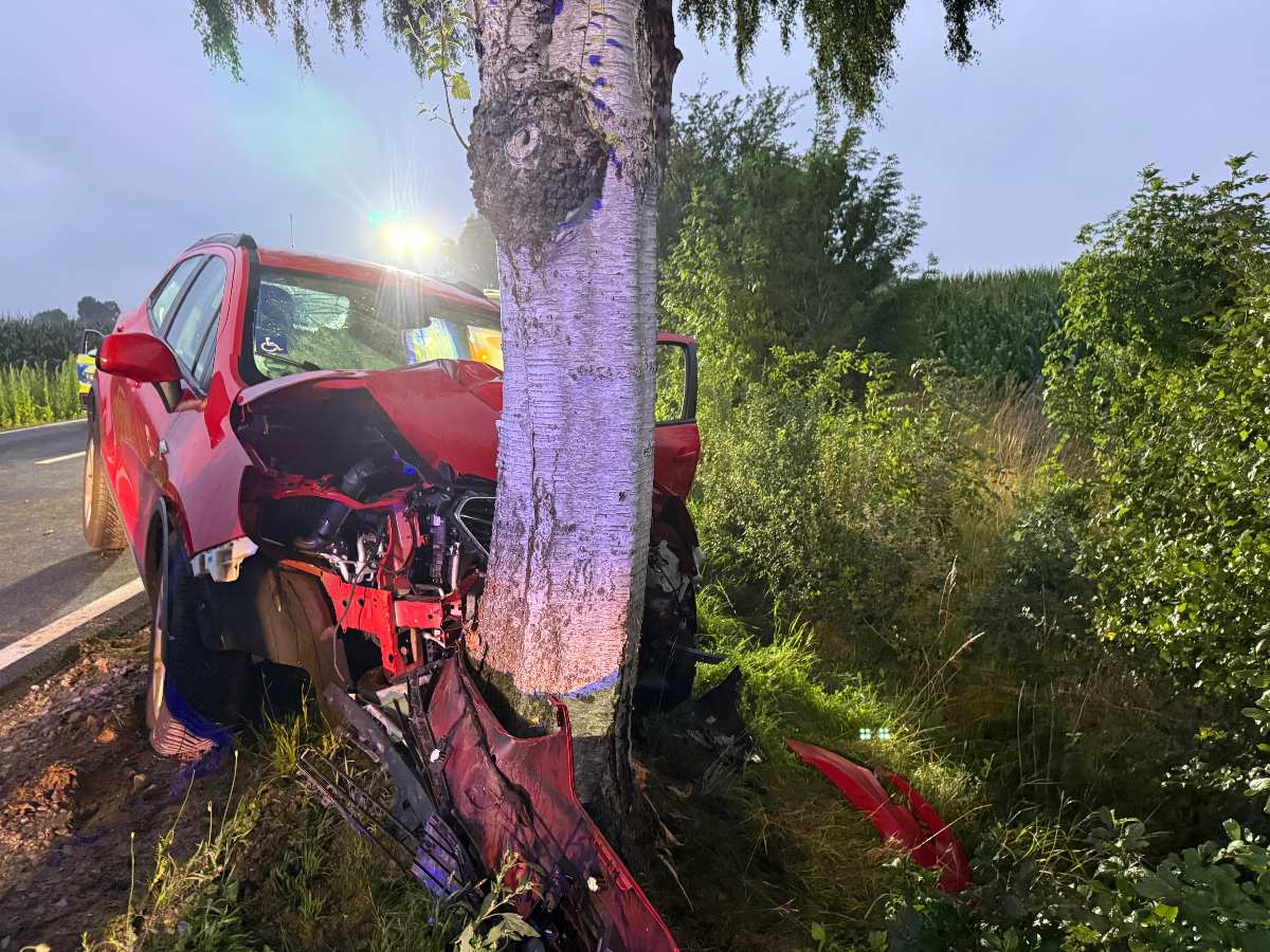 83-Jähriger stirbt bei Verkehrsunfall auf der L124 zwischen Hollenbeck und Ahlerstedt 1 a car crashed into a tree