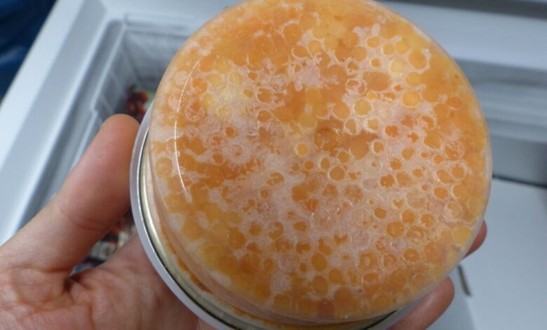 a hand holding a container of food